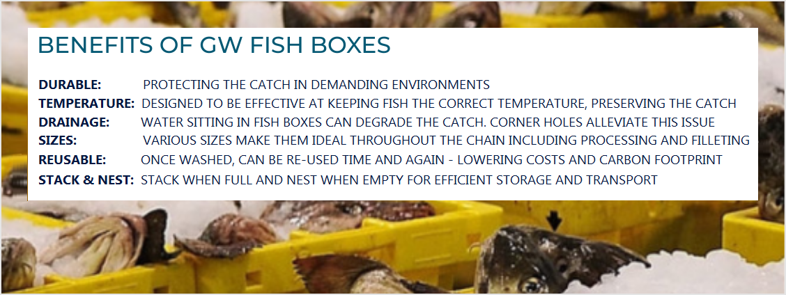 Fish Boxes and containers: Getting the correct solutions for use within the  fishing industry - GW Containers